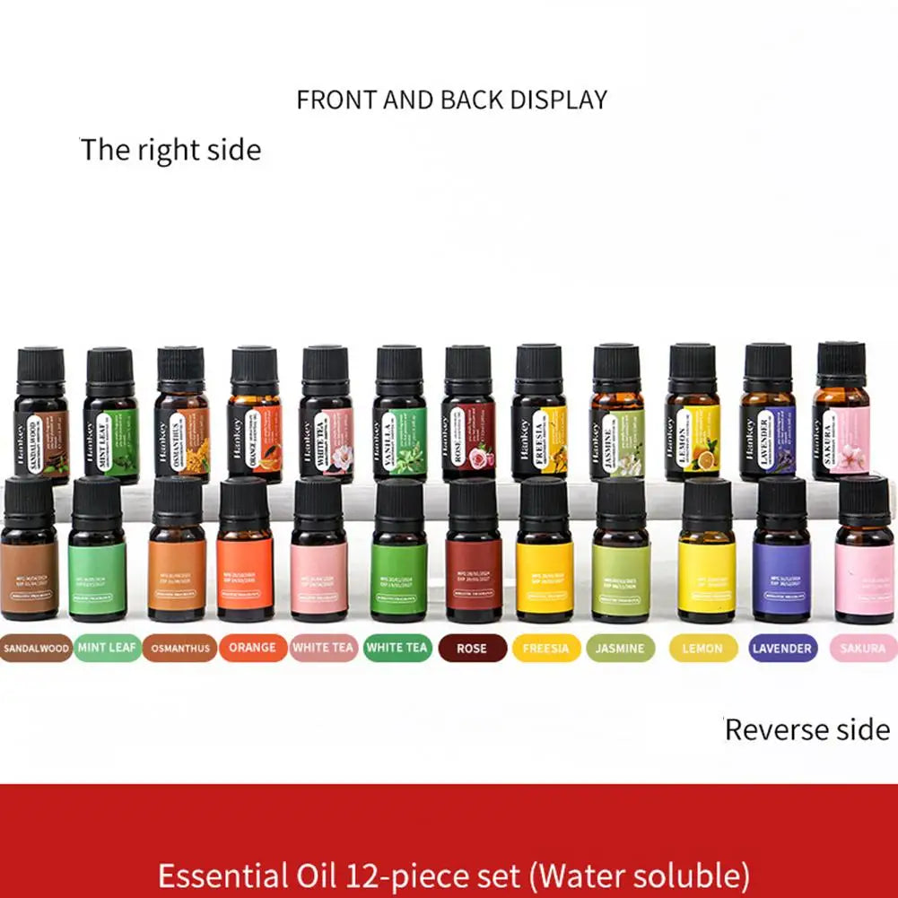 Aromatherapy Essential Oil Set – Natural Scent for Diffusers & Car Air Fresheners