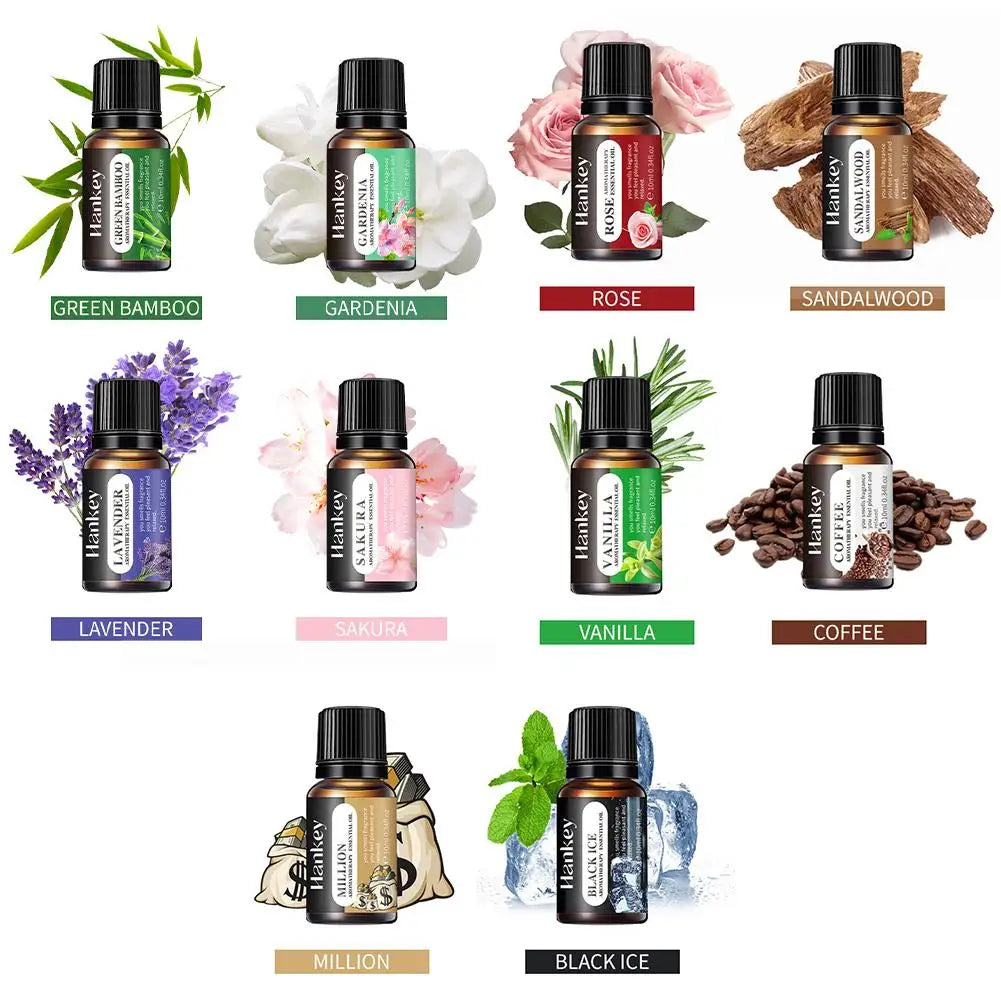 Aromatherapy Essential Oil Set – Natural Scent for Diffusers & Car Air Fresheners