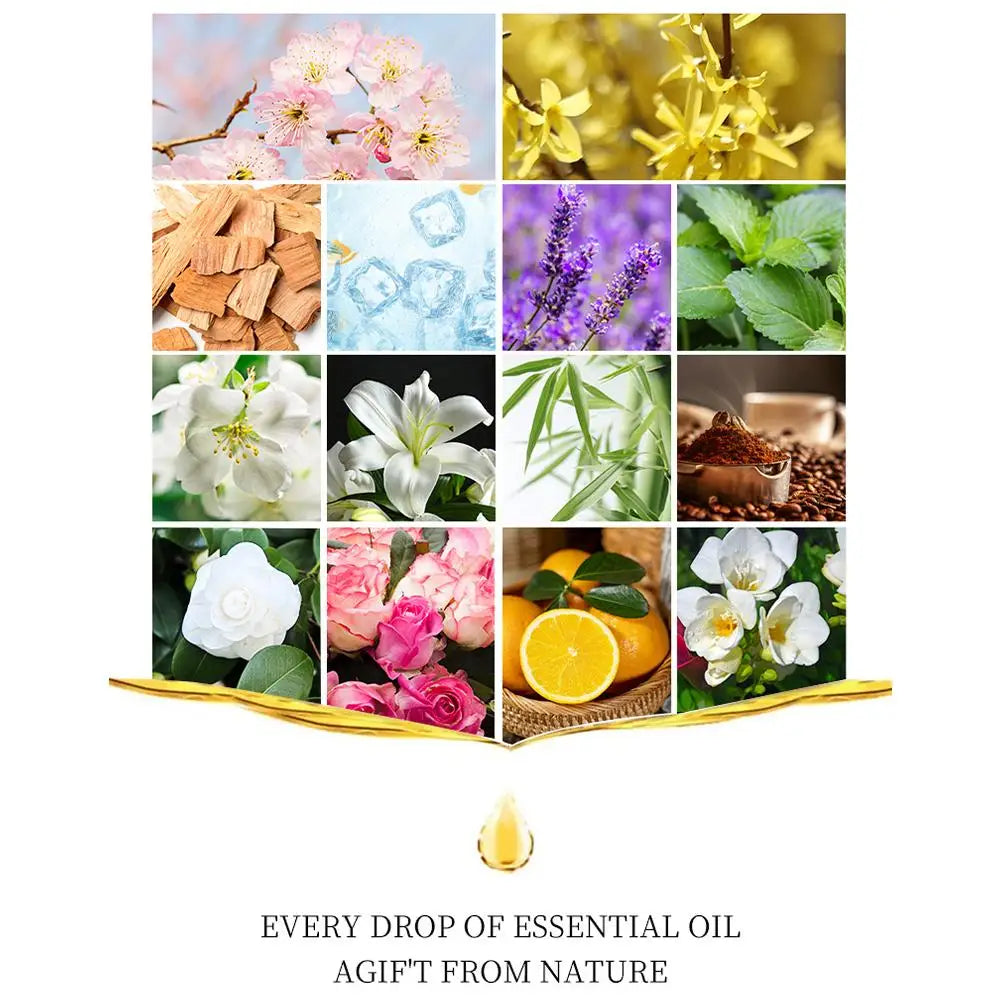 Aromatherapy Essential Oil Set – Natural Scent for Diffusers & Car Air Fresheners